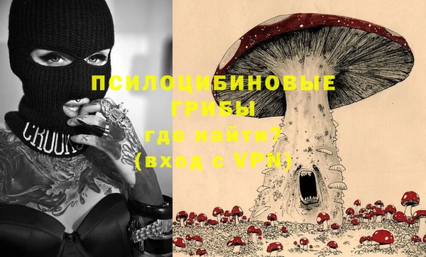 СК Волосово