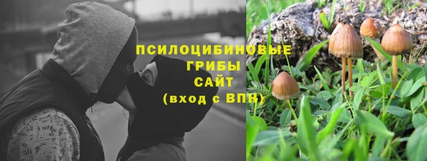 СК Волосово