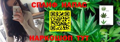 прущие крисы Можайск