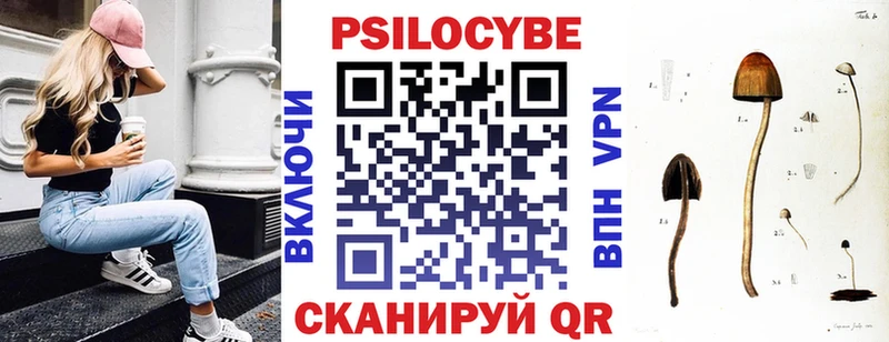 shop формула  Гудермес  Псилоцибиновые грибы GOLDEN TEACHER 