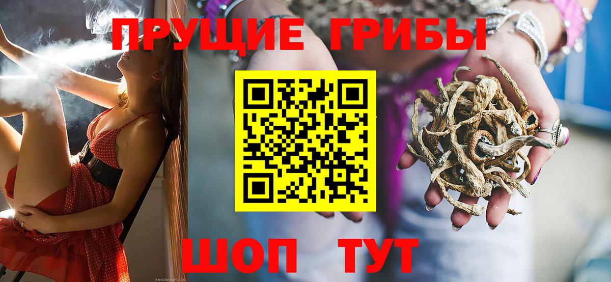 Псилоцибиновые грибы GOLDEN TEACHER Гудермес
