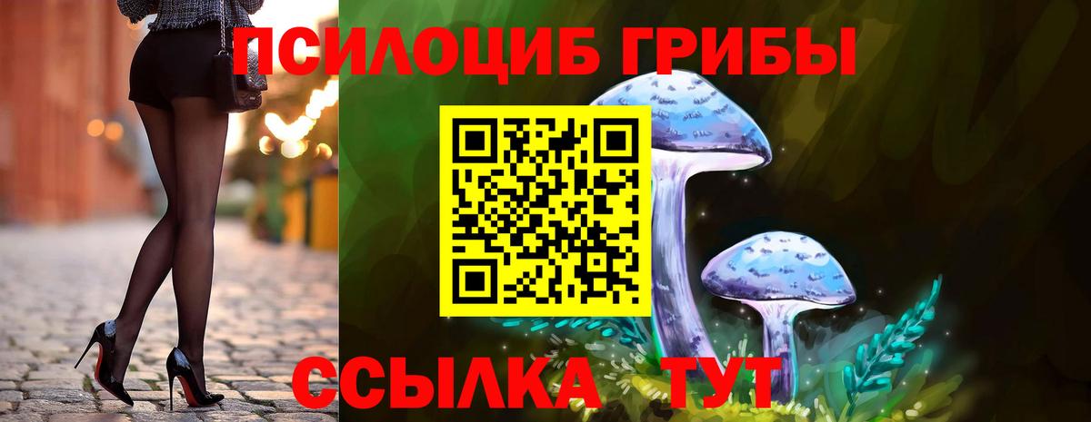 Гудермес  Псилоцибиновые грибы MAGIC MUSHROOMS  Вход с VPN  Галлюциногенные грибы мицелий 